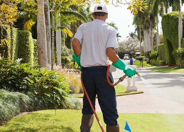 About Felton GA Pest Control Pros